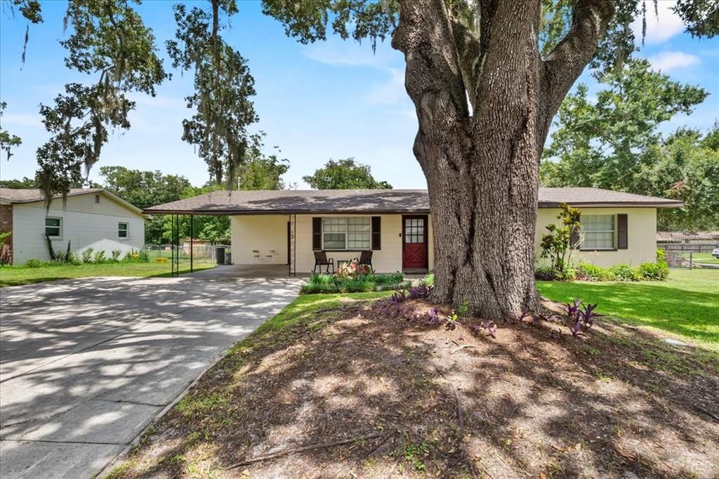 Backyard, Exterior, Facade, Ranch