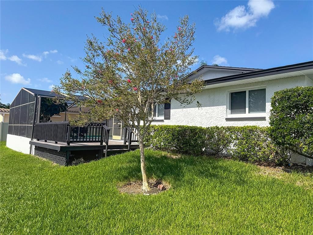 Backyard, Exterior