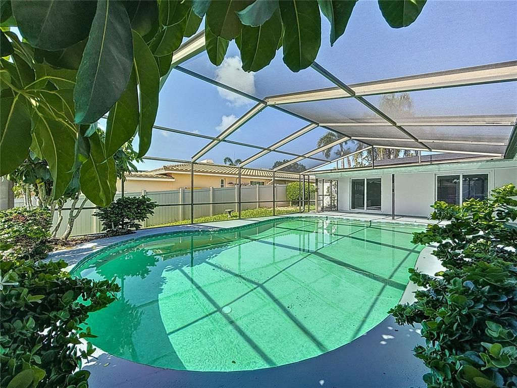 Glass Ceilings, Interior, Pool, Sun Room