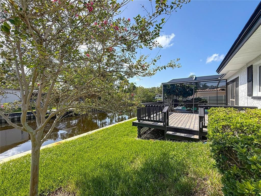 Backyard, Exterior, Water