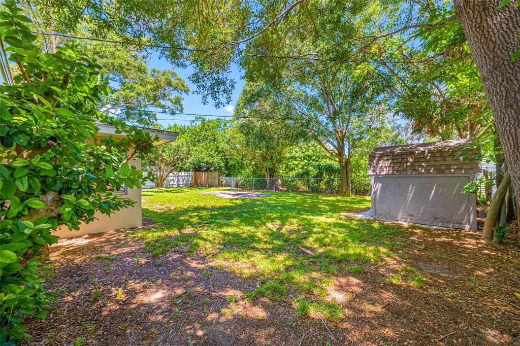 Backyard, Exterior