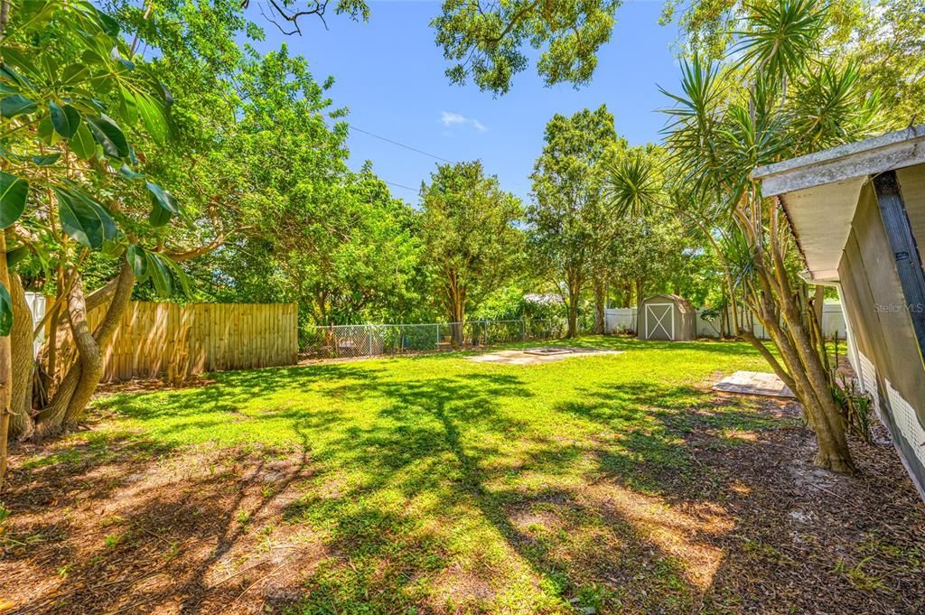 Backyard, Exterior