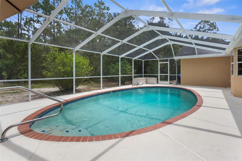 Glass Ceilings, Interior, Pool, Sun Room