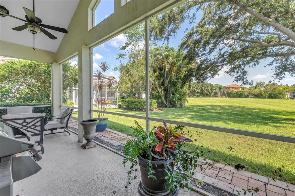 Backyard, Interior, Sun Room