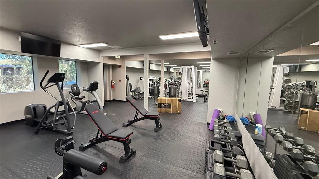 Fitness Equipment, Gym, Interior, Recessed Lighting