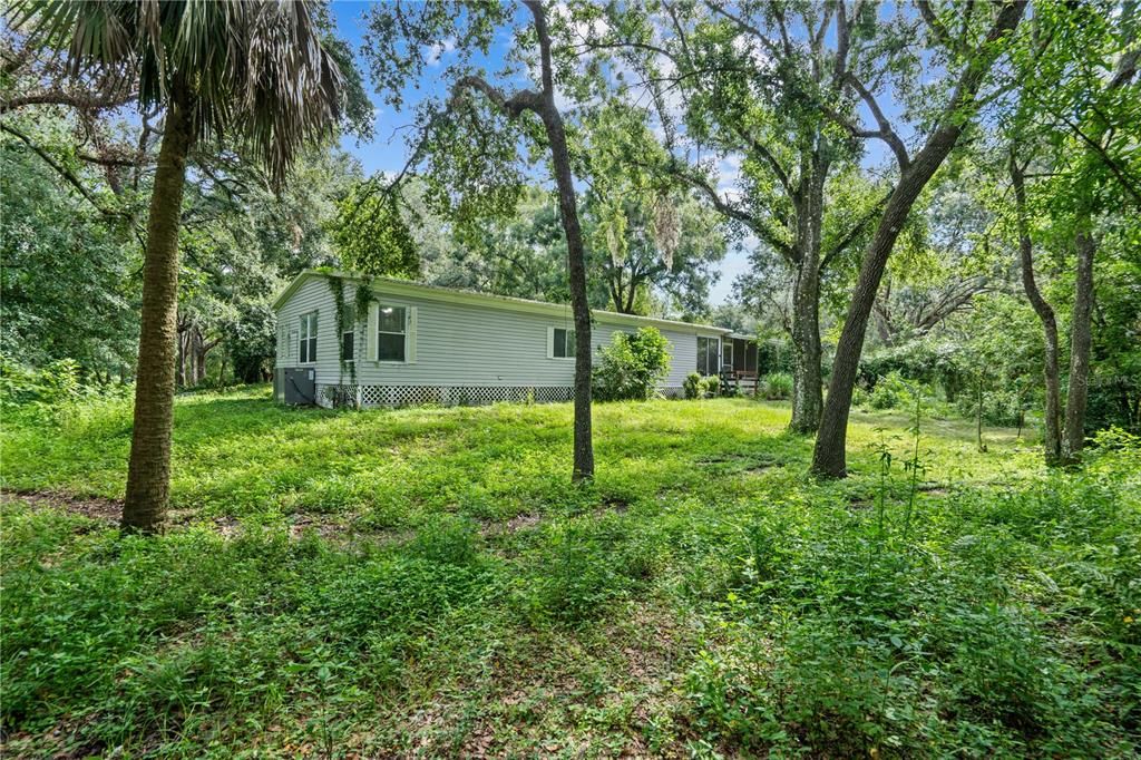 Backyard, Exterior