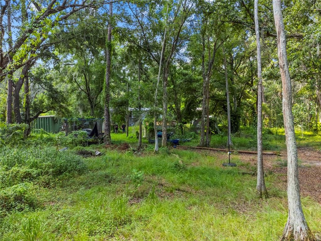 Backyard, Exterior, Playground