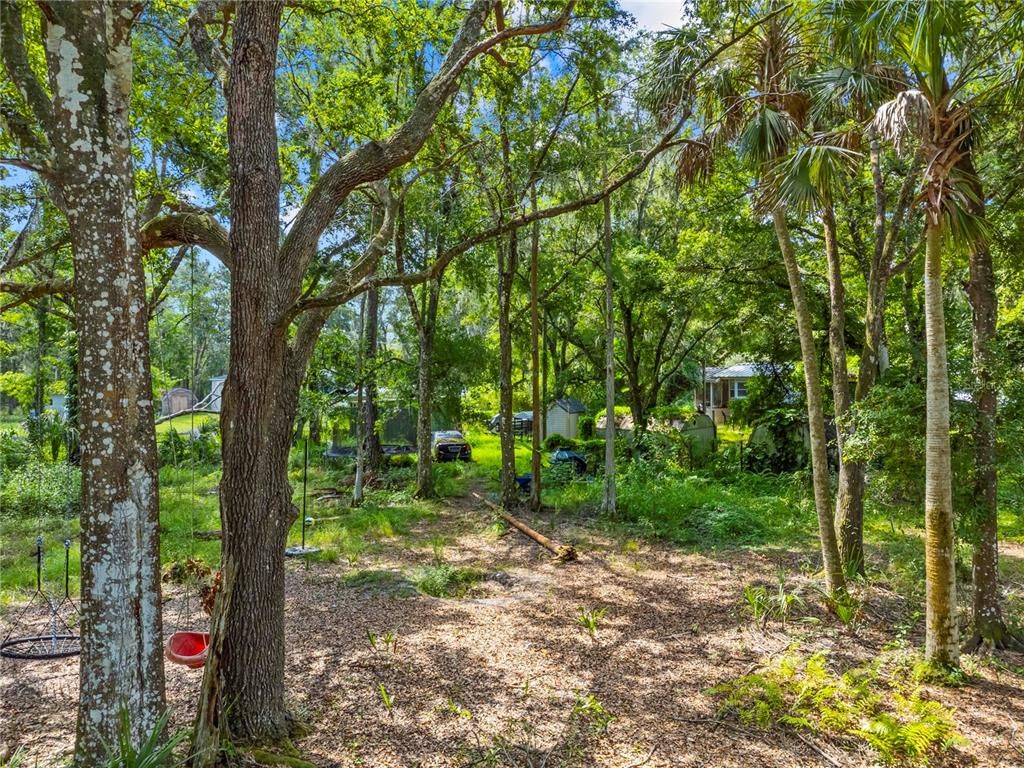 Backyard, Exterior