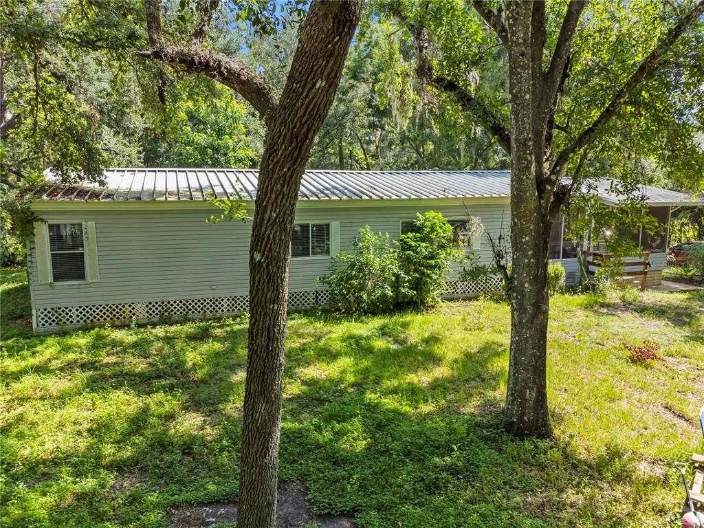 Backyard, Exterior