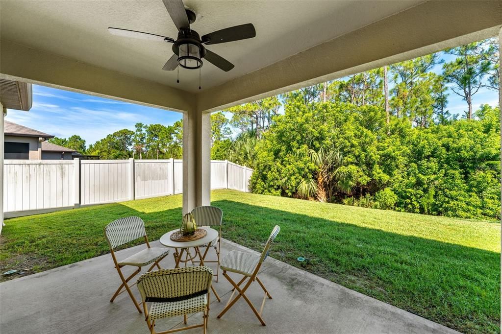 Backyard, Exterior