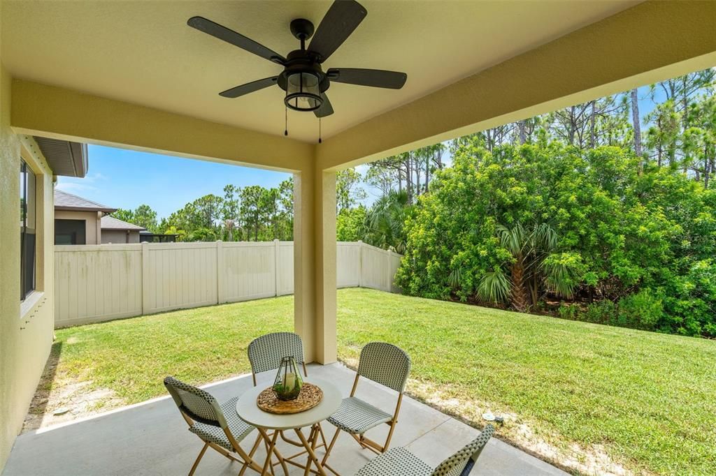 Backyard, Exterior