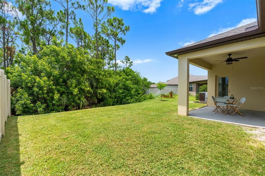 Backyard, Exterior