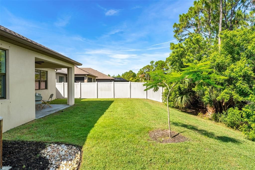 Backyard, Exterior
