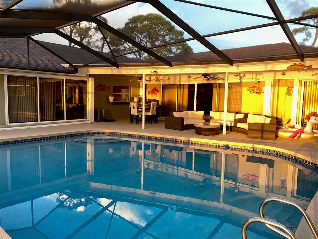 Glass Ceilings, Interior, Pool, Sun Room