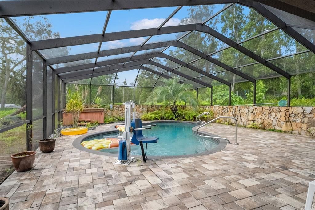 Glass Ceilings, Interior, Pool, Sun Room