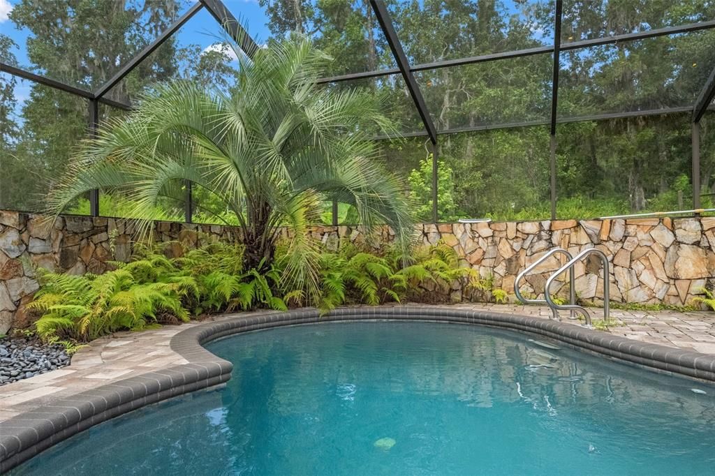Glass Ceilings, Interior, Pool, Sun Room