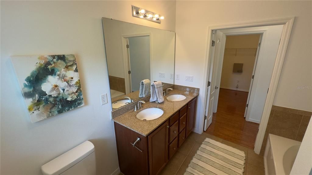 Bathroom, Dual Sink Vanities, Interior, Wood Texture Flooring