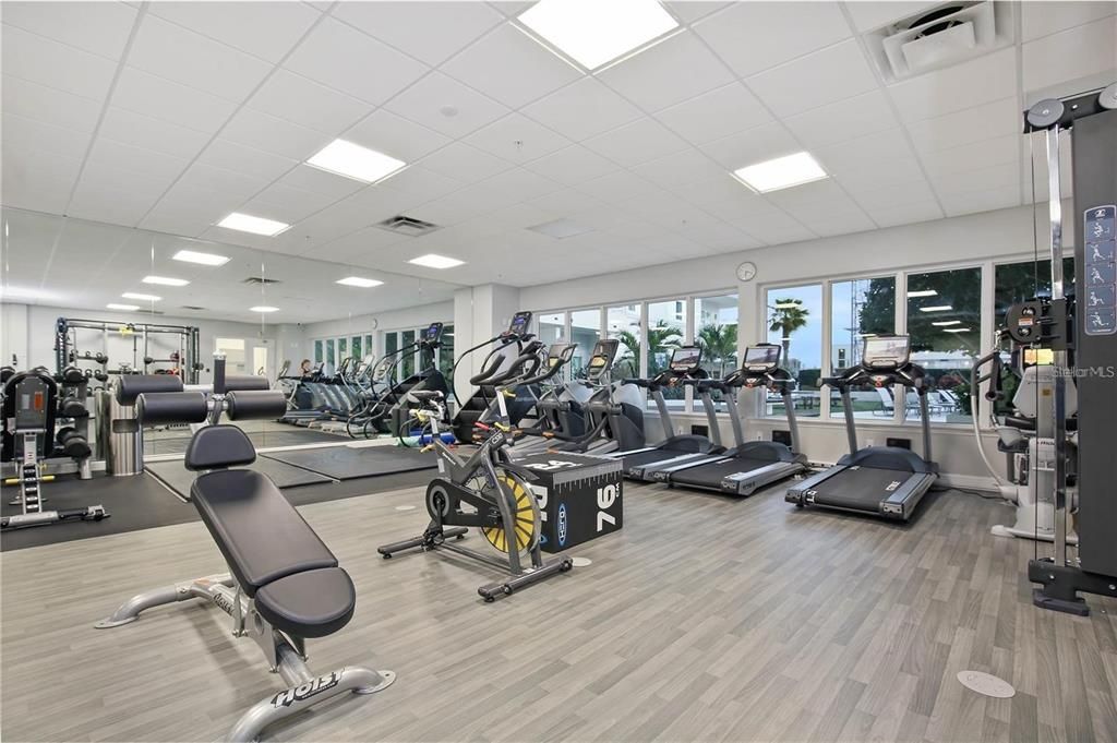 Fitness Equipment, Gym, Interior, Recessed Lighting, Wood Texture Flooring