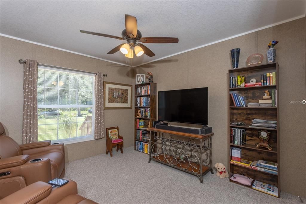 Home Theatre Room, Interior, Living room
