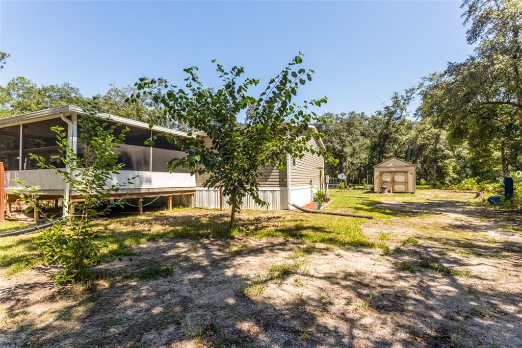 Backyard, Exterior