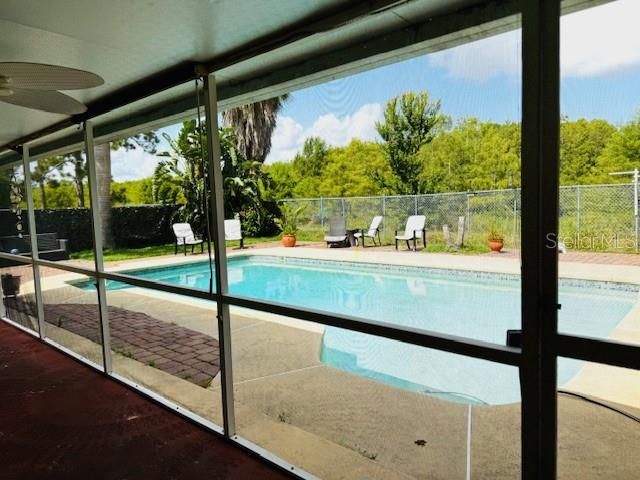 Interior, Pool, Sun Room