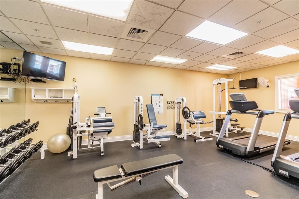 Fitness Equipment, Gym, Interior, Recessed Lighting