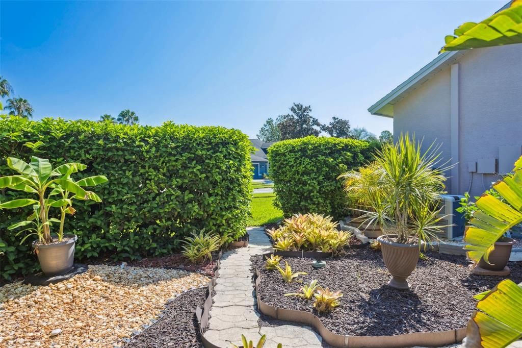 Backyard, Exterior