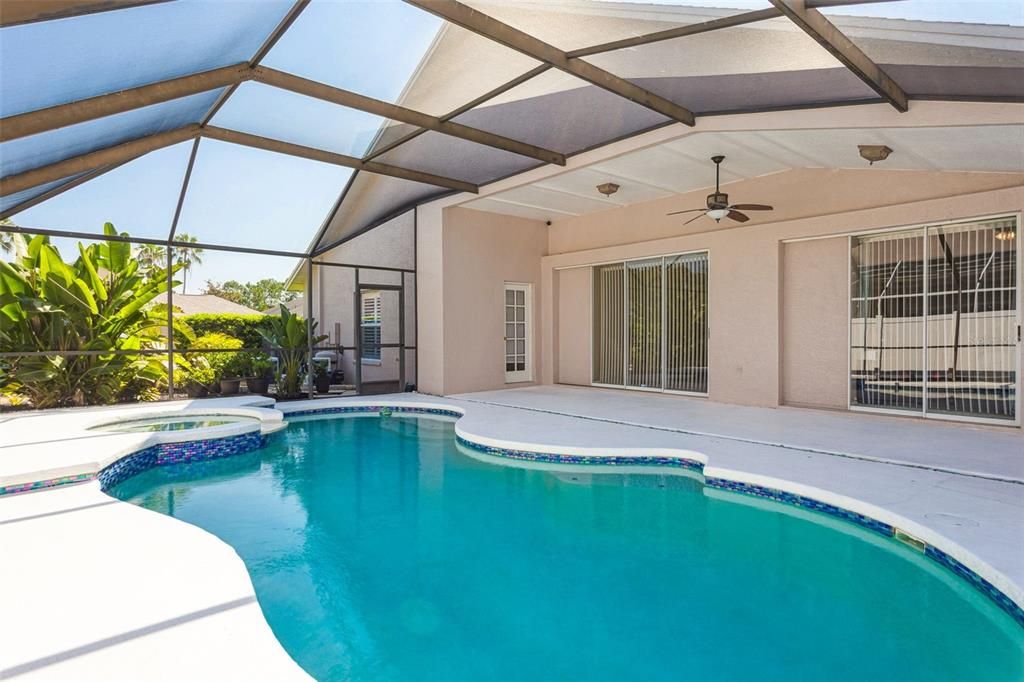 Glass Ceilings, Interior, Pool, Sun Room