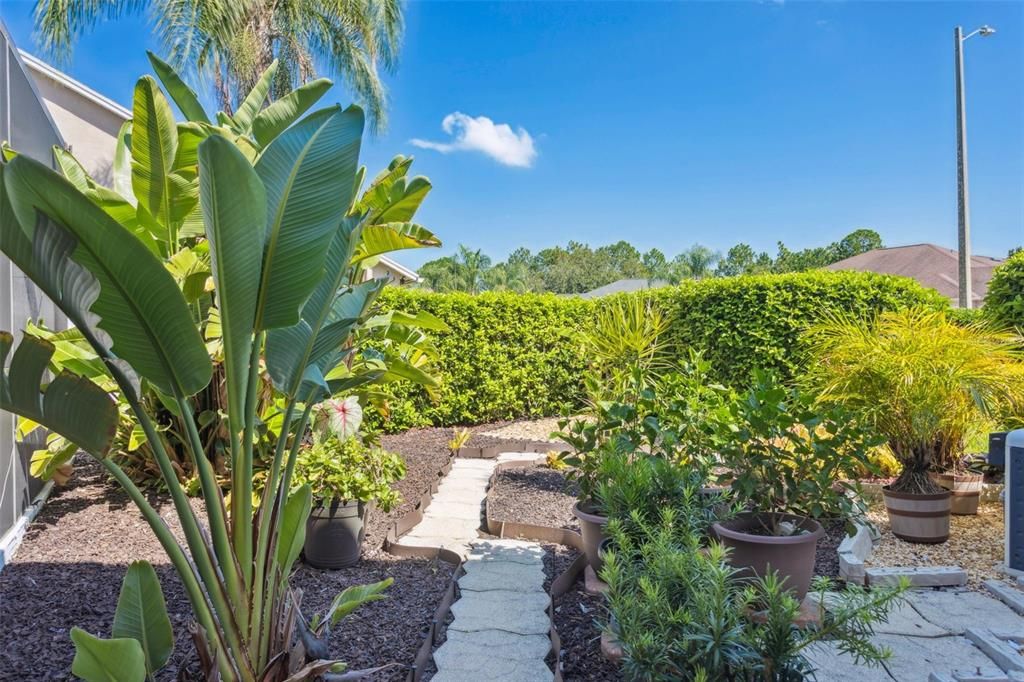 Backyard, Exterior