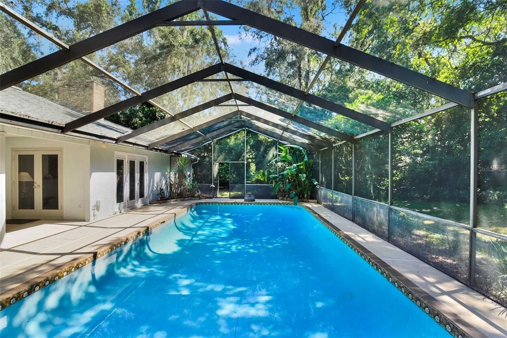 Glass Ceilings, Interior, Pool, Sun Room