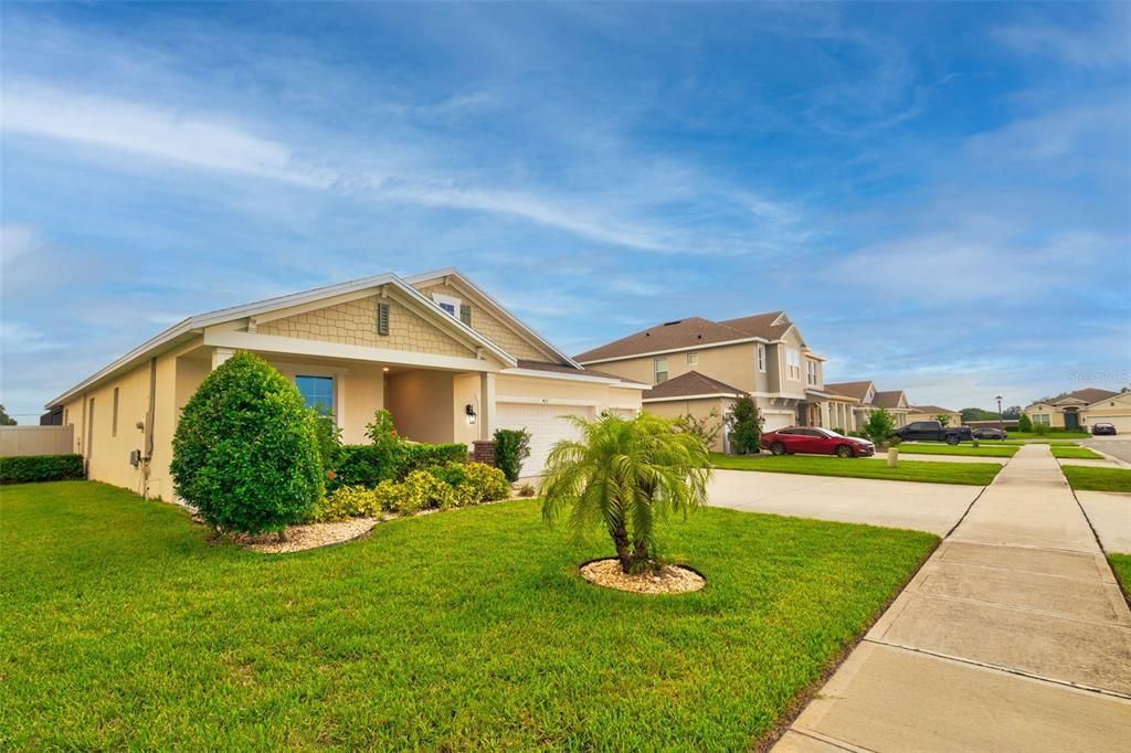 Backyard, Exterior