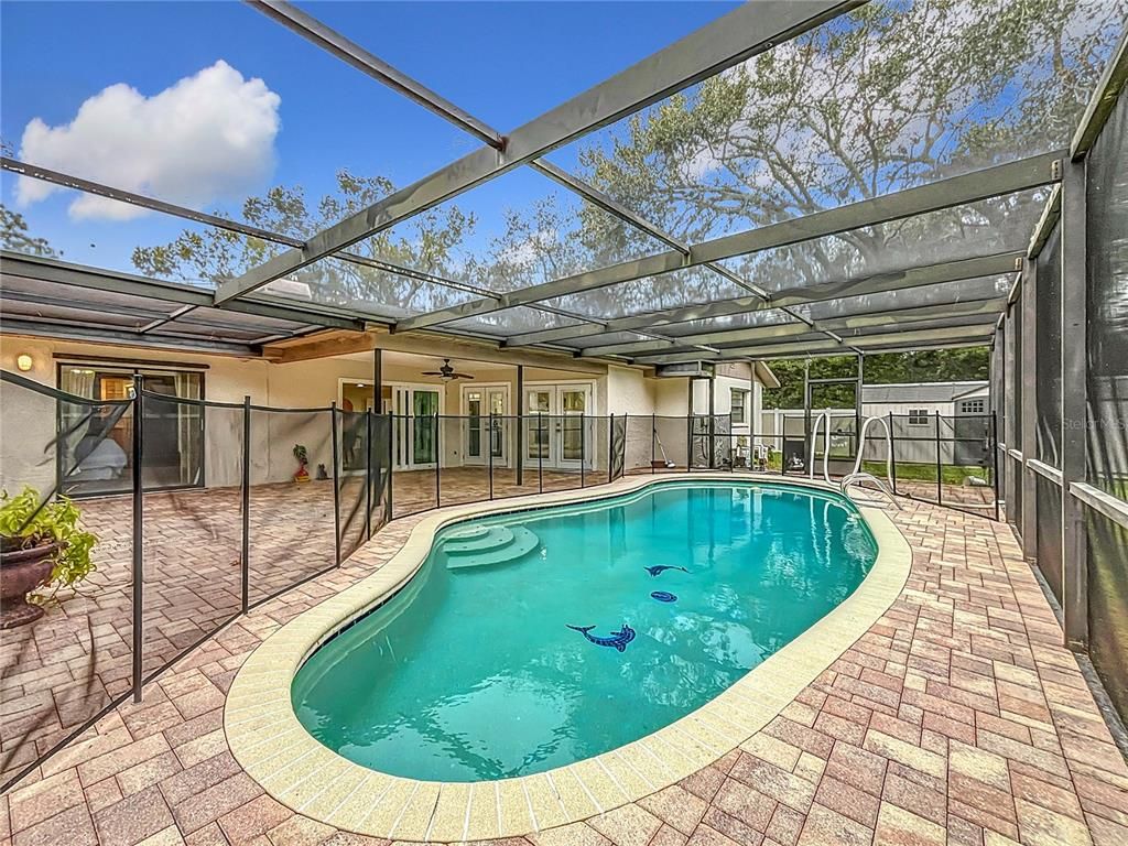 Glass Ceilings, Interior, Pool, Sun Room