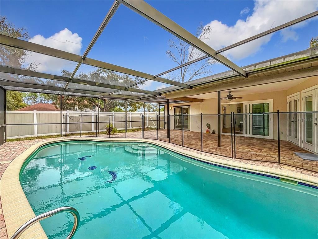 Glass Ceilings, Interior, Pool, Sun Room