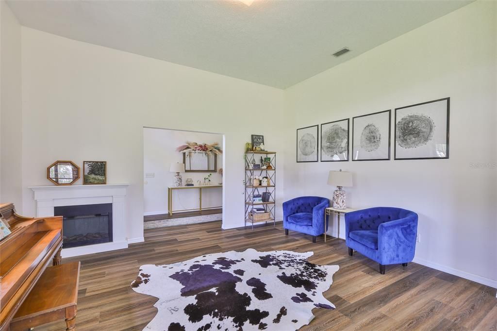 Fireplace, Interior, Wood Texture Flooring