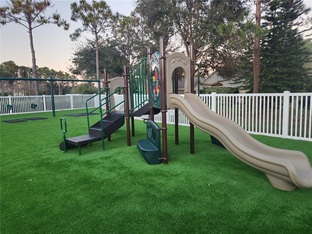 Backyard, Exterior, Playground