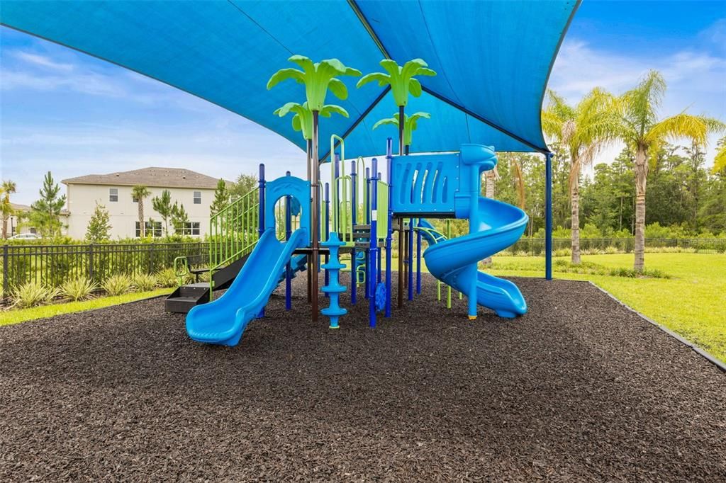 Backyard, Exterior, Playground