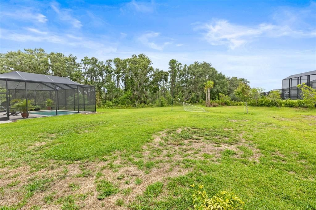 Backyard, Exterior