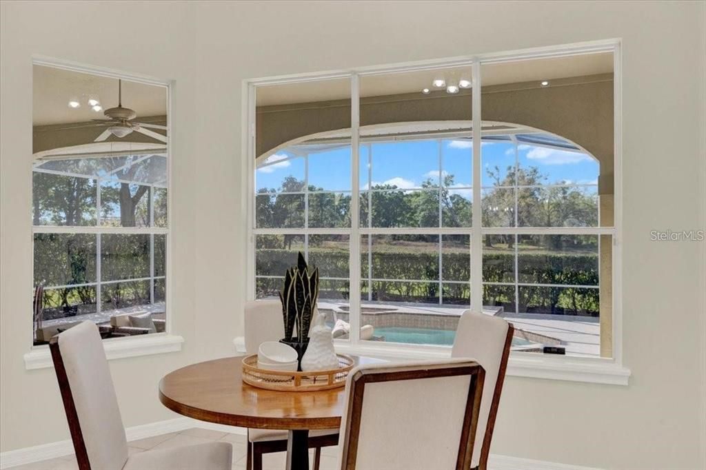 Dining room, Interior, Recessed Lighting