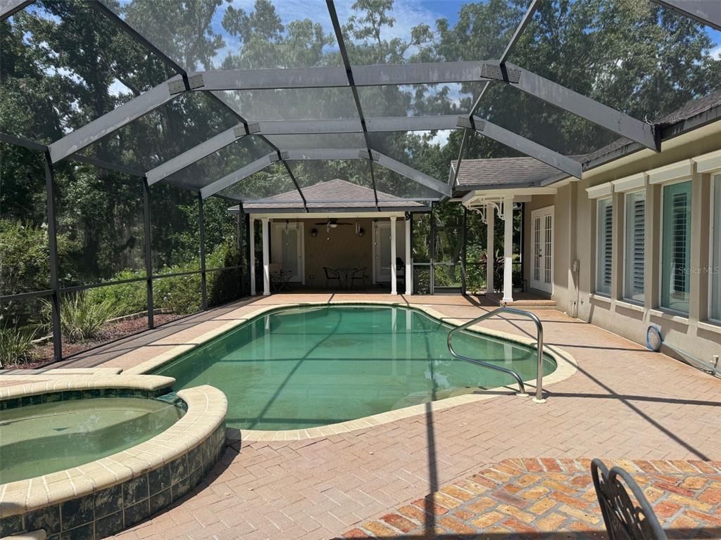 Glass Ceilings, Interior, Pool, Sun Room