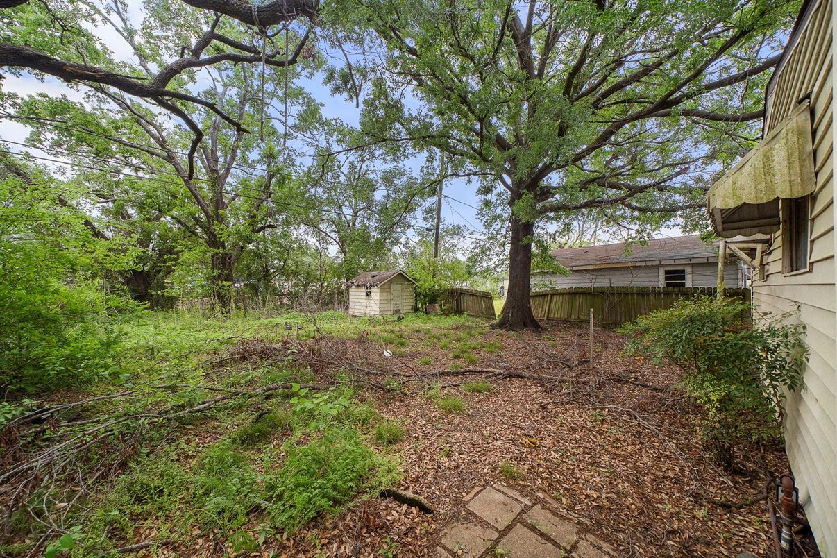 Backyard, Exterior