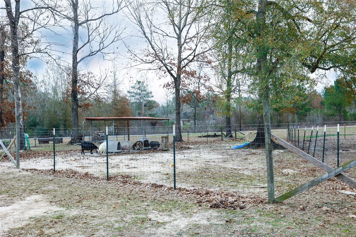 Backyard, Exterior, Playground