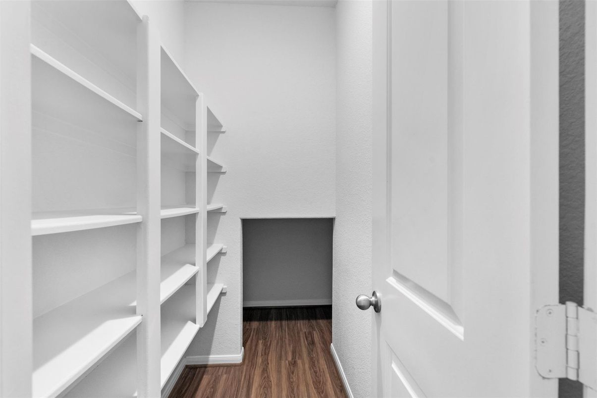 Interior, Walk-in Closets, Wood Texture Flooring
