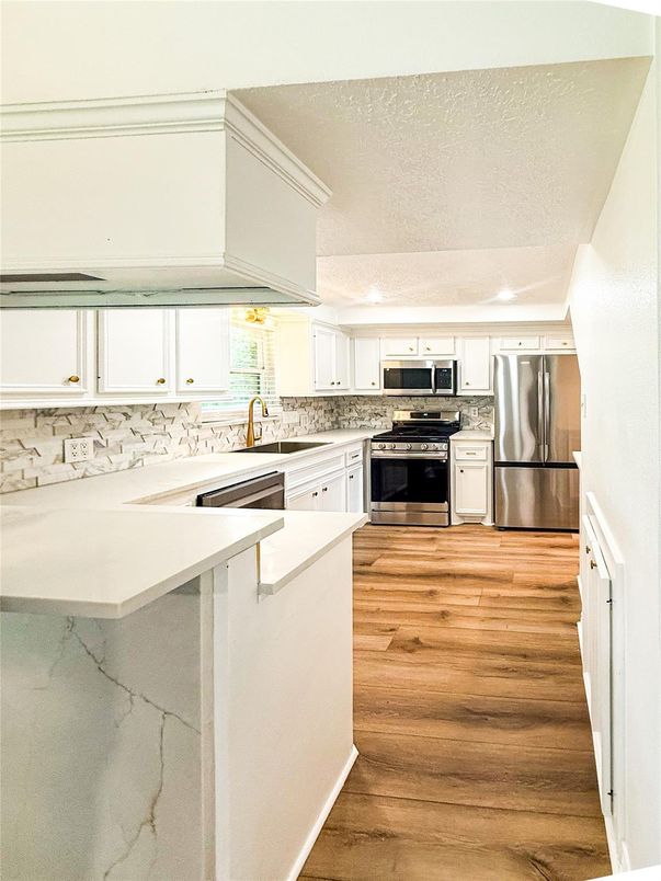 Interior, Kitchen, Stainless Steel Appliances, Wood Texture Flooring