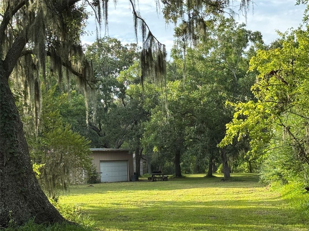 Backyard, Detached Garage, Exterior