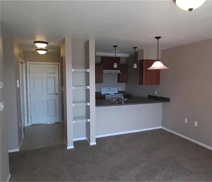 Empty room, Interior, Kitchen, Pendant Lights, Stainless Steel Appliances