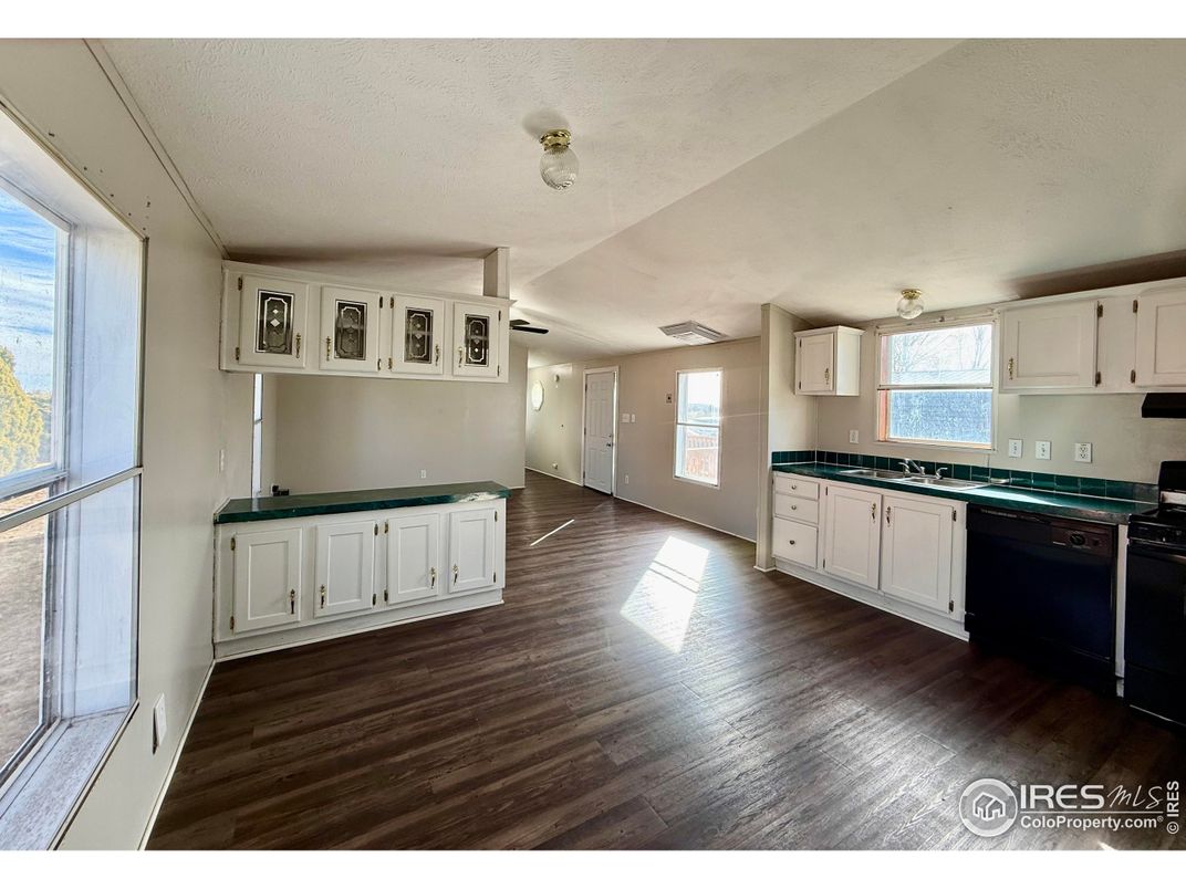 Interior, Kitchen, Wood Texture Flooring