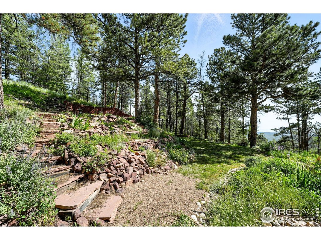 Backyard, Exterior, Water