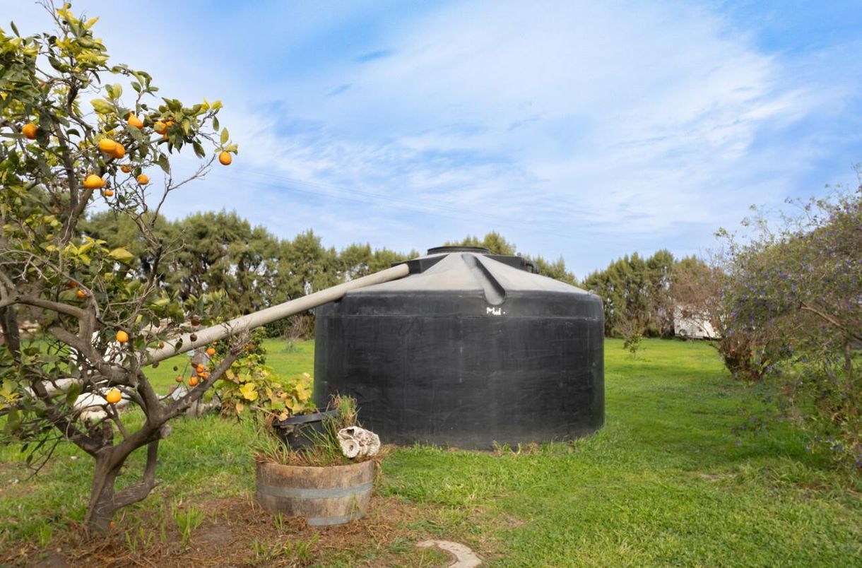 Backyard, Detached Garage, Exterior