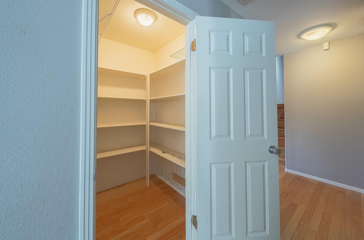 Interior, Walk-in Closets, Wood Texture Flooring