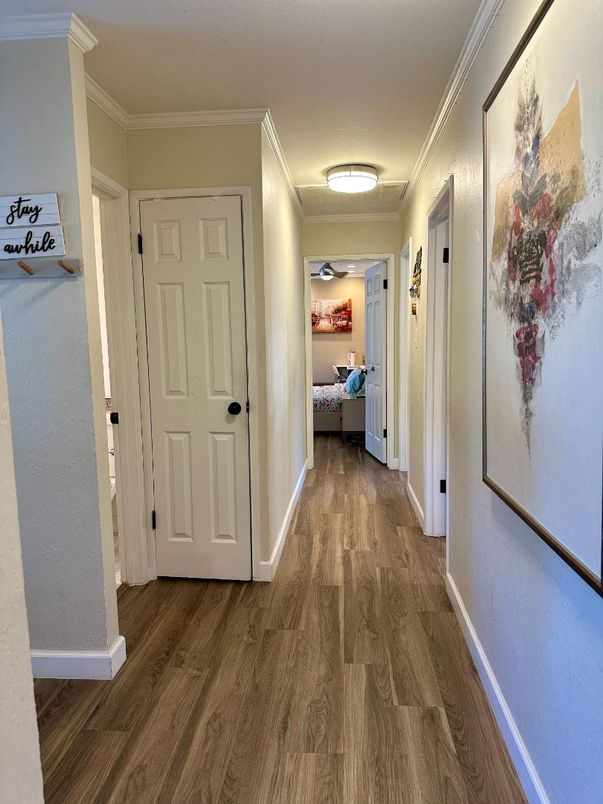 Interior, Wood Texture Flooring